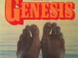 Genesis Evolution Of A Rock Band Armando Gallo