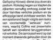 Collins-Ahoy-Rotterdam-Review-1990