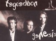 genesis-fototegoedbon1