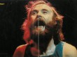 Collins-1977-Hitkrant