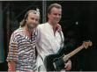 Collins-Sting