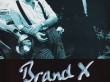 BrandX-Roxy